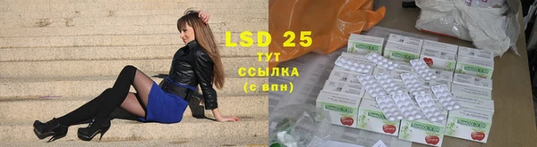 PSILOCYBIN Армянск