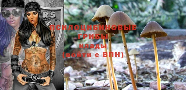 дмт Баксан