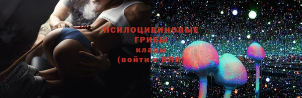 дживик Аркадак