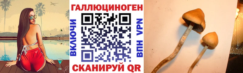 Галлюциногенные грибы Cubensis  Видное 
